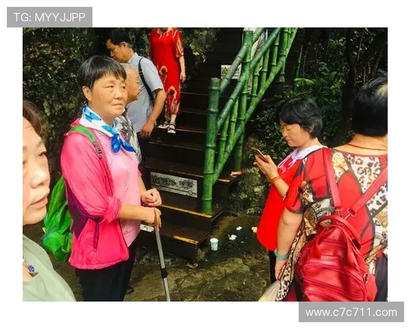 安薇快三最新开奖结果查询与号码走势分析